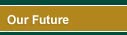 Our Future