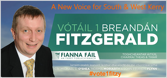 Fianna Fáil - #vote1fitzy - 23rd May 2014 you decide - I'm asking for your support